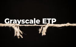 Grayscale Bitcoin ETPs Show Weak Performance While Other ETP Volumes Spike in October